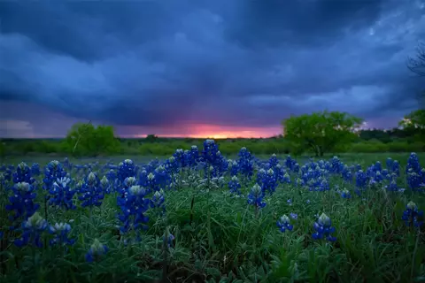 272 Slate Rock Rd, Willow City, TX 78675