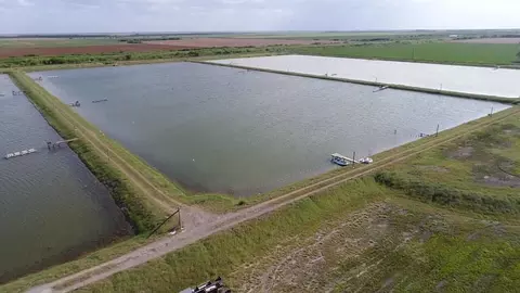 7979 Goyo Garcia Rd, Raymondville, TX 78580