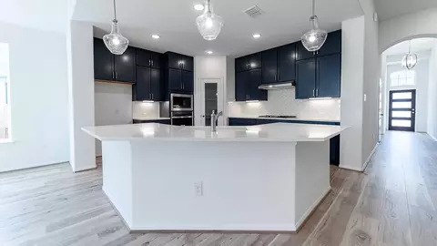 Kitchen - 294 Rubber Tree Way, Buda, TX 78610 photo 5 of 5