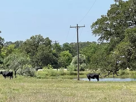 1583 S Us Highway 77 Hwy, Giddings, TX 78942