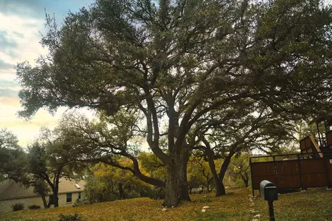 15505 Enid Dr, Austin, TX 78734