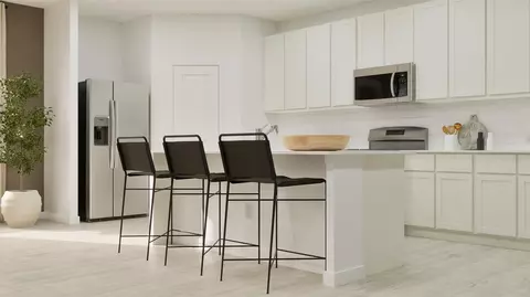 Kitchen - 233 Avre Loop, Kyle, TX 78640 photo 3 of 4