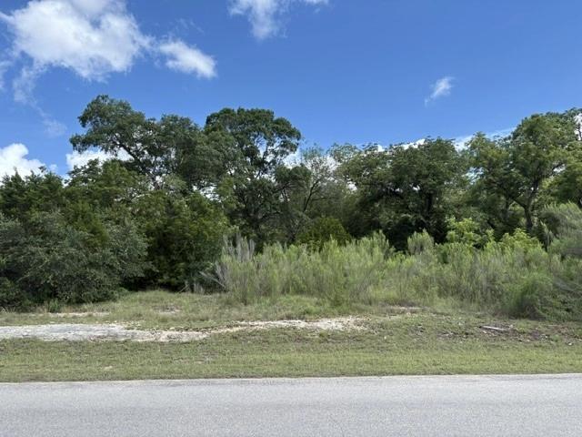 19615 Terra Mont Dr, San Antonio, TX 78255
