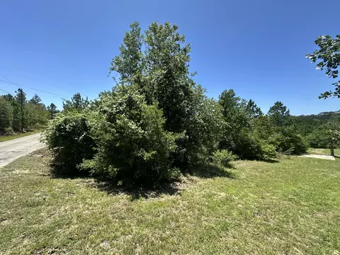 000 Manawianui Dr, Bastrop, TX 78602