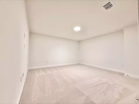 Other - 405 Young St, Buda, TX 78610 photo 4 of 5