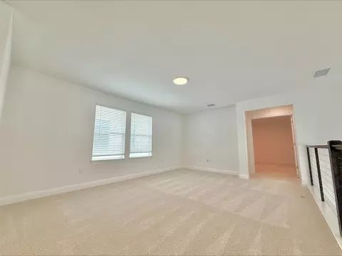 Other - 405 Young St, Buda, TX 78610 photo 3 of 5