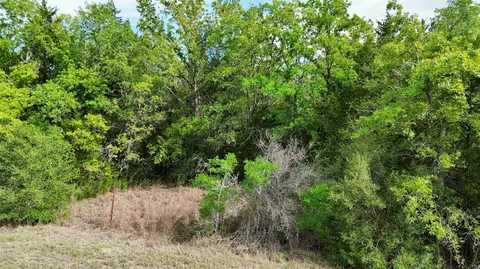 tbd Tract 2 Fm 180, Ledbetter, TX 78946 photo 5