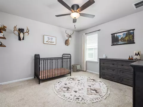Bedroom - 201 Bunting Ln, Bertram, TX 78605 photo 3 of 4