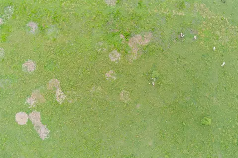 1700 Cr 322, Bartlett, TX 76511 photo 14