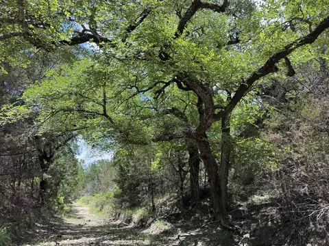 312 Oak Stump Dr, Goldthwaite, TX 76844