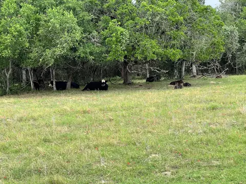 lot17 Settlement Way, Luling, TX 78648 photo 11