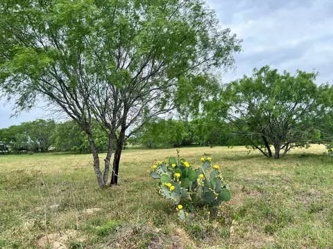 lot17 Settlement Way, Luling, TX 78648 photo 6