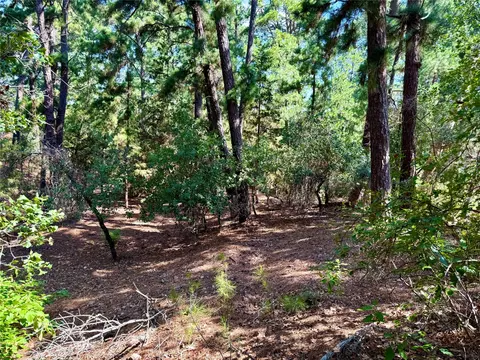 112 114 118 Kaimuki Ct, Bastrop, TX 78602