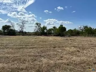 217 Twin Oaks Ln, Floresville, TX 78114
