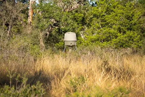 358 Cornelius Rd, Utopia, TX 78885 photo 17