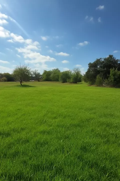 tbd Highway 36, Rogers, TX 76569
