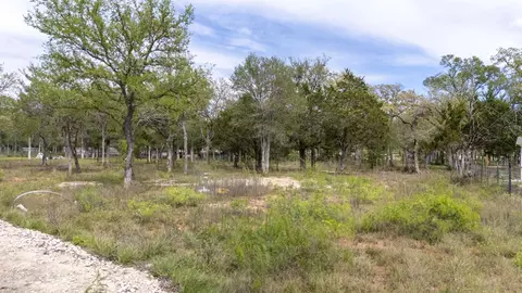 171 Comancheria Trl, Elgin, TX 78621 photo 22
