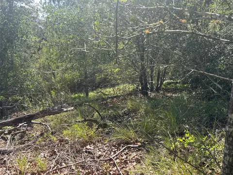 lot1541 Pahoiki Ln, Bastrop, TX 78602