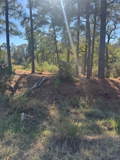 lot97 Kaelepulu Dr, Bastrop, TX 78602