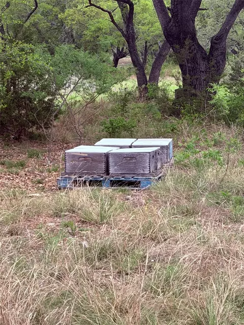 tbd S Fm 1174, Bertram, TX 78605 photo 4