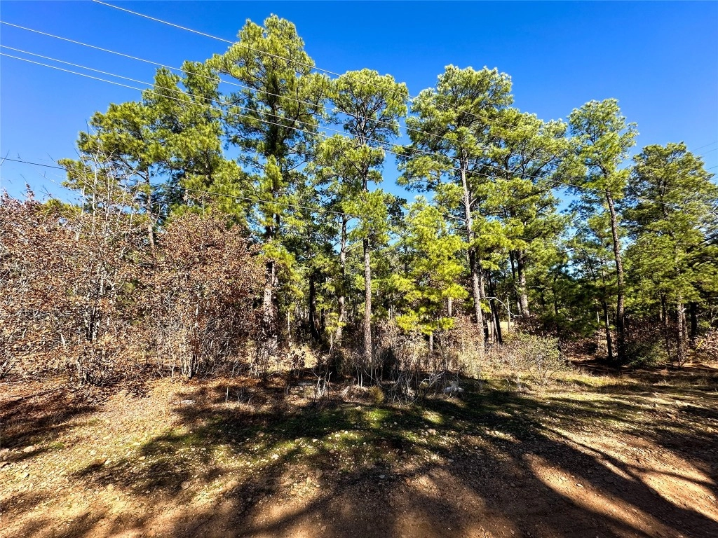 Lot 1 Pin Oak Ct  