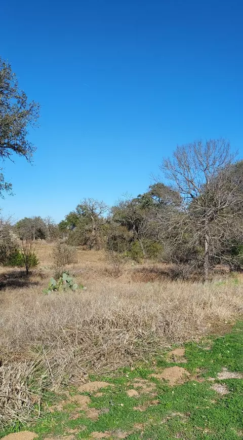lot50 Pristine Pass, Buchanan Dam, TX 78609
