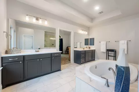 Bath - 813 Heartleaf Dr, Leander, TX 78641 photo 3 of 6