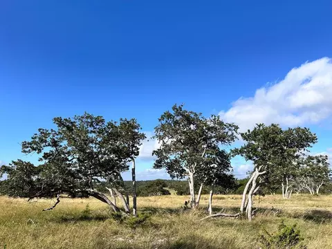 lot41 Buckskin Path Path, Fredericksburg, TX 78624