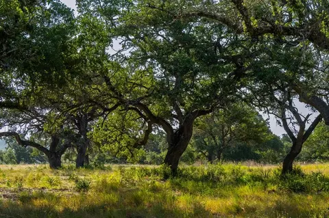lot8 Tuscany Dr, Driftwood, TX 78619