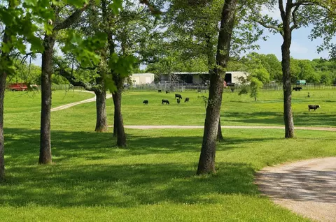 Undisclosed, Luling, TX 78648 photo 25
