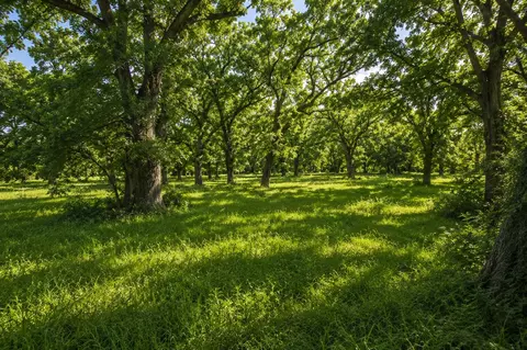 Undisclosed, Luling, TX 78648 photo 18