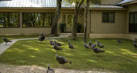 Undisclosed, Luling, TX 78648 photo 9