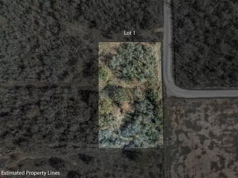 1088 Bugtussle Ln, Luling, TX 78648 photo 8