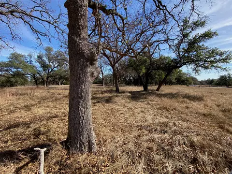 304 Lightning Ranch Pt, Georgetown, TX 78628 photo 9