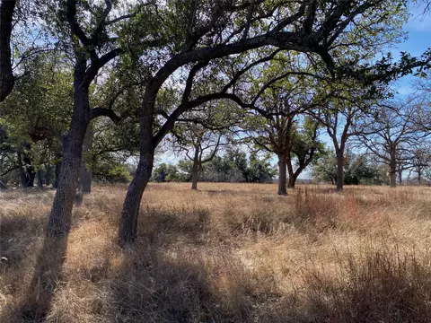 304 Lightning Ranch Pt, Georgetown, TX 78628 photo 5