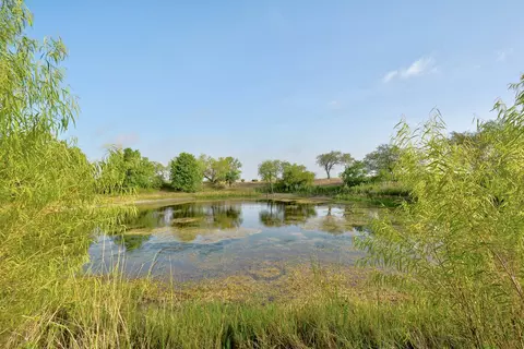 14512 Graef Rd, Creedmoor, TX 78610 photo 4