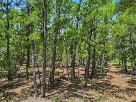 lot54 Akala Ln, Bastrop, TX 78602