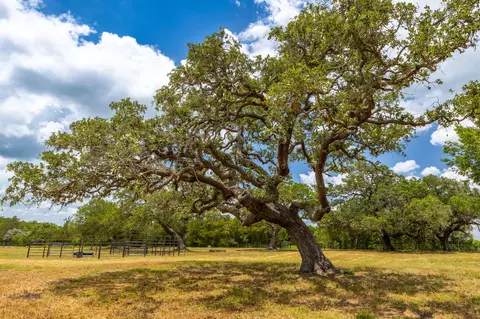 2160 Baca Loop, Flatonia, TX 78941 photo 8