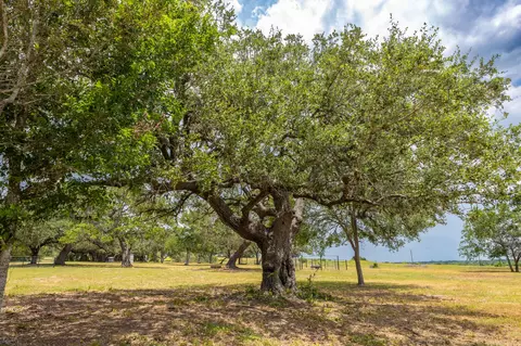 2160 Baca Loop, Flatonia, TX 78941 photo 2