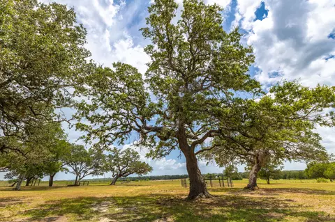 2160 Baca Loop, Flatonia, TX 78941 photo 4