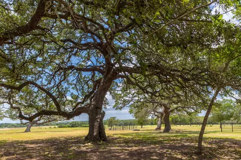 2160 Baca Loop, Flatonia, TX 78941 photo 6