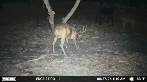 7257 Cr 252, Bertram, TX 78605 photo 27