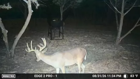 7257 Cr 252, Bertram, TX 78605 photo 26