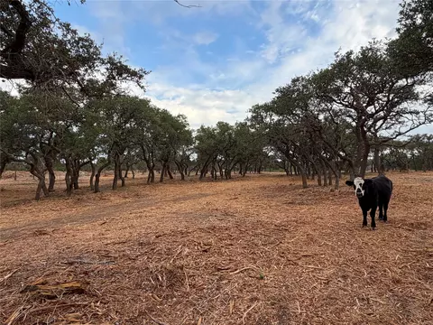 7257 Cr 252, Bertram, TX 78605 photo 2