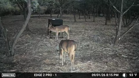 7257 Cr 252, Bertram, TX 78605 photo 25