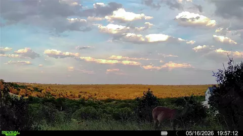 0 Trails End Rd, Leander, TX 78641 photo 34