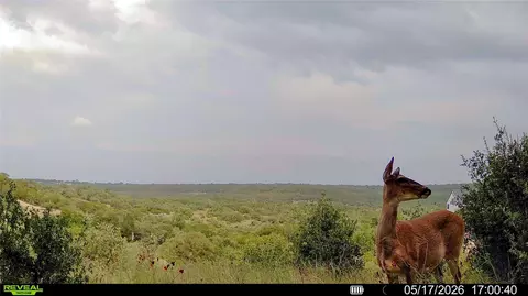 0 Trails End Rd, Leander, TX 78641 photo 9