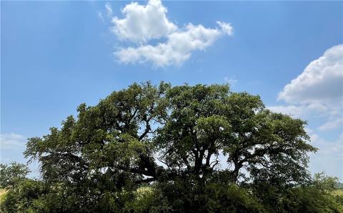 0 377 S Hwy, Brownwood, TX 76827