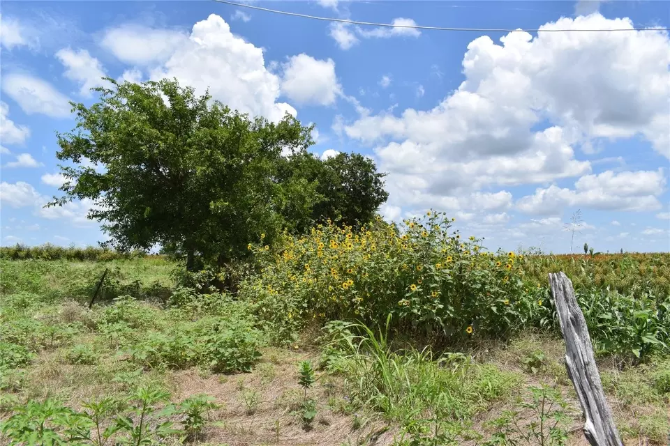  tbd County Road 109, Buckholts, TX 76518 photo 6