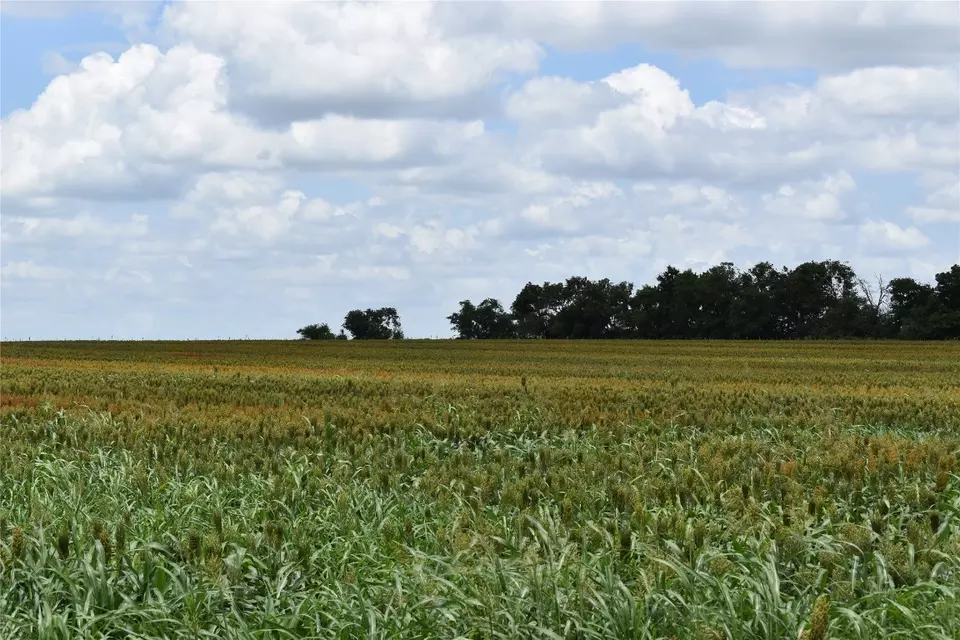  tbd County Road 109, Buckholts, TX 76518 photo 3